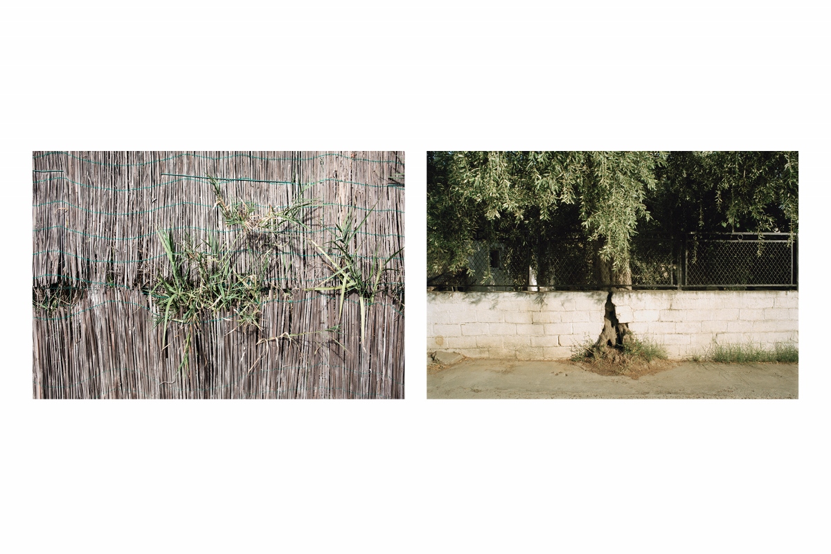 Chiara Arturo / Cristina Cusani - Attraverso il giardino
